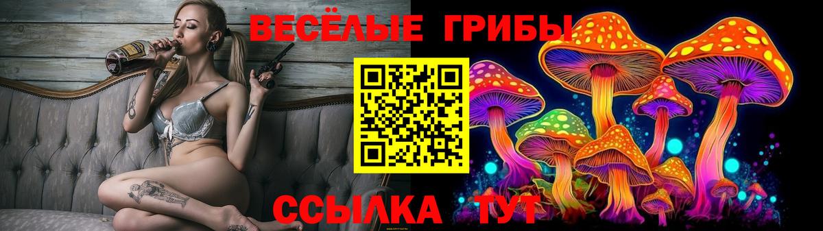 Псилоцибиновые грибы Psilocybine cubensis Ростов Великий