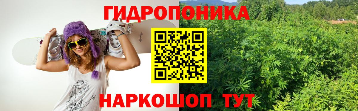 Марихуана AK-47  Вход с VPN  Шишки марихуана план  Ростов Великий  Марихуана тримм  Шишки марихуана гибрид 